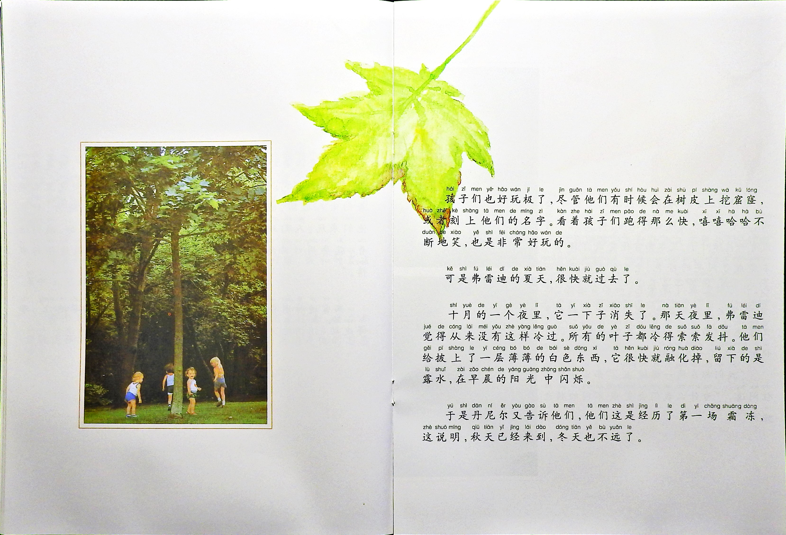 一片叶子落下来 (09),绘本,绘本故事,绘本阅读,故事书,童书,图画书,课外阅读